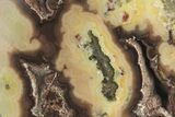 Polished Botryoidal Yellow Smithsonite - New Mexico #209530-2